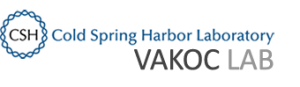 Vakoc Lab